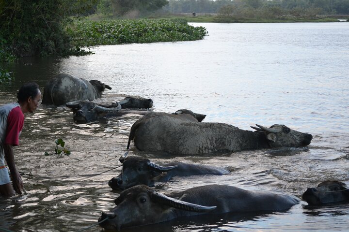 Saigon to Hoi An Cycling Tour: The Ultimate 10-Day Coastal & Highland Adventure